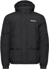 Dwr Outdoor Archive Puffer Jacket Designers Jackets Padded Jackets Black Timberland
