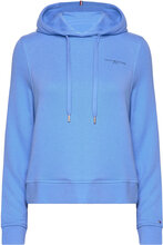 1985 Reg Mini Corp Logo Hoodie Tops Sweatshirts & Hoodies Hoodies Blue Tommy Hilfiger