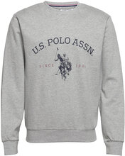 Uspa Sweatshirt Brant Men Tops Sweatshirts & Hoodies Sweatshirts Grey U.S. Polo Assn.