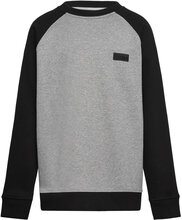 By Core Basic Raglan Crew Tops Sweat-shirts & Hoodies Sweat-shirts Grey VANS
