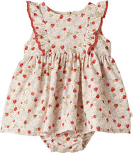 Dress Suit Lace Sofia Dresses & Skirts Dresses Baby Dresses Sleevless Baby Dresses Multi/patterned Wheat