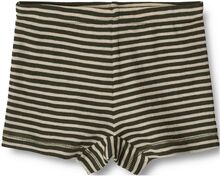 Wool Tights Avalon Night & Underwear Underwear Underpants Green Wheat