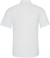 Michael Oxford Shirt Ss Kortermet Skjorte Hvit Wood Wood*Betinget Tilbud