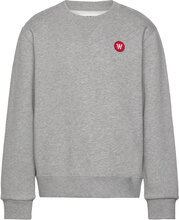 Rod Kids Sweatshirt Gots Tops Sweatshirts & Hoodies Sweatshirts Grey Double A By Wood Wood