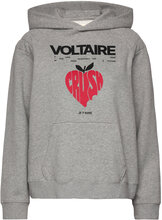 Evata Mo Concert Crush Designers Sweatshirts & Hoodies Hoodies Grey Zadig & Voltaire