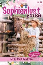 Sophienlust Extra 20 – Familienroman