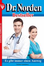 Dr. Norden Bestseller 217 – Arztroman