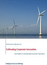 Cultivating Corporate Innovation