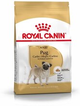 Royal Canin Pug Adult (1,5 kg)