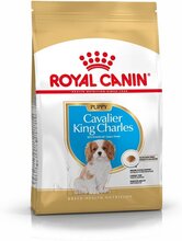 Royal Canin Cavalier King Charles Puppy (1,5 kg)