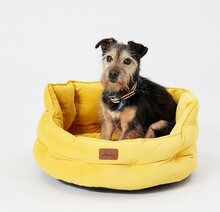 Rosewood Joules Chesterfield Hundeseng Gul S