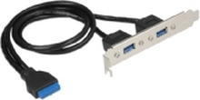 Delock Slot bracket - USB-panel - USB-type A (hunn) til 19-pins USB 3.0-plugg (hunn) - for Delock Converter M.2