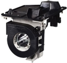 CoreParts - Projektorlampe - 375 watt - 5000 timer - for NEC P502H, P502HL, P502W, P502WL