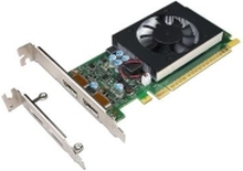 NVIDIA GeForce GT730 - Grafikkort - GF GT 730 - 2 GB GDDR5 - PCIe 2.0 x8 lav profil - DisplayPort - for ThinkCentre M710 M715 M720 M75t Gen 2 M910 M920 V530-15