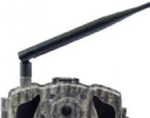 Berger & Schröter MG984G-30M Vildtkamera 30 Megapixel Black LEDer, Fjernbetjening, No-Glow-LED, Lydoptagelse, GSM-modul, 4G billedoverførsel Camouflage