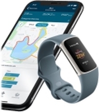 Fitbit Charge 5 - Platina rustfritt stål - aktivitetssporer med uendelighetsbånd - silikon - blått stål - håndleddstørrelse: 130-210 mm - display 1.04 - Bluetooth, NFC