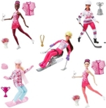 Barbie Winter Sports (1 pcs) - Assorted