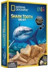 Elbrus National Geographic Shark Tooth Excavation Kit