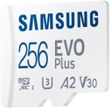 Samsung EVO Plus MB-MC256KA - Flashminnekort (microSDXC til SD-adapter inkludert) - 256 GB - A2 / Video Class V30 / UHS-I U3 / Class10 - microSDXC UHS-I - hvit