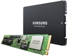 Samsung PM893 MZ7L31T9HBLT - SSD - 1.92 TB - intern - 2.5 - SATA 6Gb/s