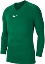 Nike gutte T-skjorte Y Nk Dry Park 1 Styr Jsy Ls green s. L (AV2611 302)