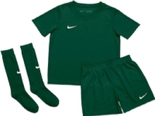 Nike Nike JR Dry Park 20 fotballdrakt 302: Størrelse - 110 - 116 (CD2244-302) - 22075_191033