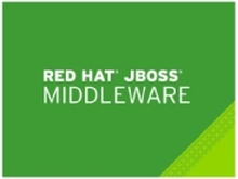 JBoss Fuse for xPaaS - Premiumabonnement (1 år) - 1-2 sokler - med vert