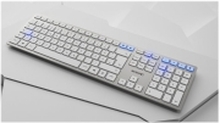 CHERRY DW 9100 SLIM - Tastatur- og mussett - trådløs - 2.4 GHz, Bluetooth 4.2 - AZERTY - Fransk - hvit, sølv