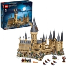 LEGO Harry Potter TM 71043 Galtvortborgen