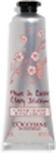 L''Occitane Cherry Blossom, Kremhvit, Kvinner, Alle hudtyper, Fuktighets krem, Forfriskende, Mykgjører, 30 ml, Rør