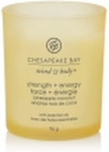 Chesapeake Bay Scented candle - Strength &amp Energy - Pineapple Coconut - small