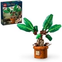 LEGO Harry Potter TM 76433 Alruneplante