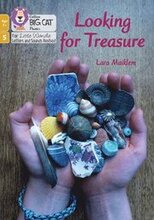 Looking for Treasure