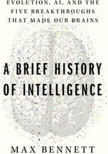 Brief History of Intelligence