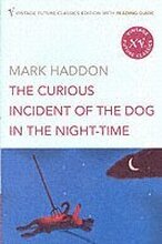 The Curious Incident of the Dog in the Night-time