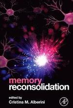 Memory Reconsolidation