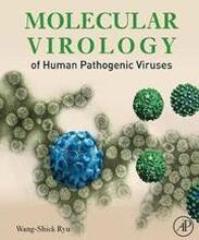 Molecular Virology of Human Pathogenic Viruses