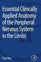 Essential Clinically Applied Anatomy of the Peripheral Nervous System in the Limbs