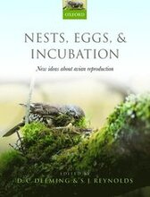 Nests, Eggs, and Incubation