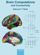 Brain Computations and Connectivity