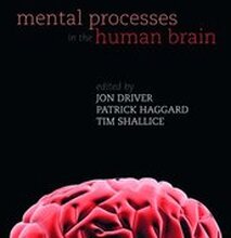 Mental Processes in the Human Brain