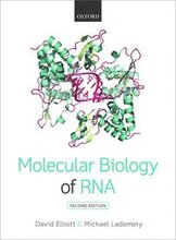 Molecular Biology of RNA
