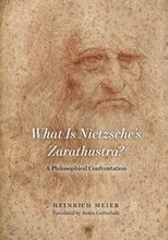What is Nietzsche`s Zarathustra? A Philosophical Confrontation