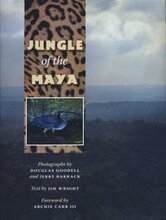 Jungle of the Maya
