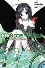 Accel World, Vol. 4 (light novel)