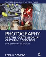 Photography and the Contemporary Cultural Condition