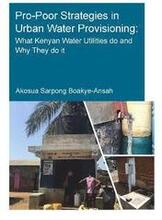 Pro-Poor Strategies in Urban Water Provisioning