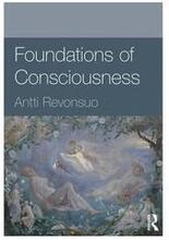 Foundations of Consciousness