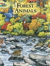 Forest Animals Colouring Book