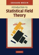 Introduction to Statistical Field Theory